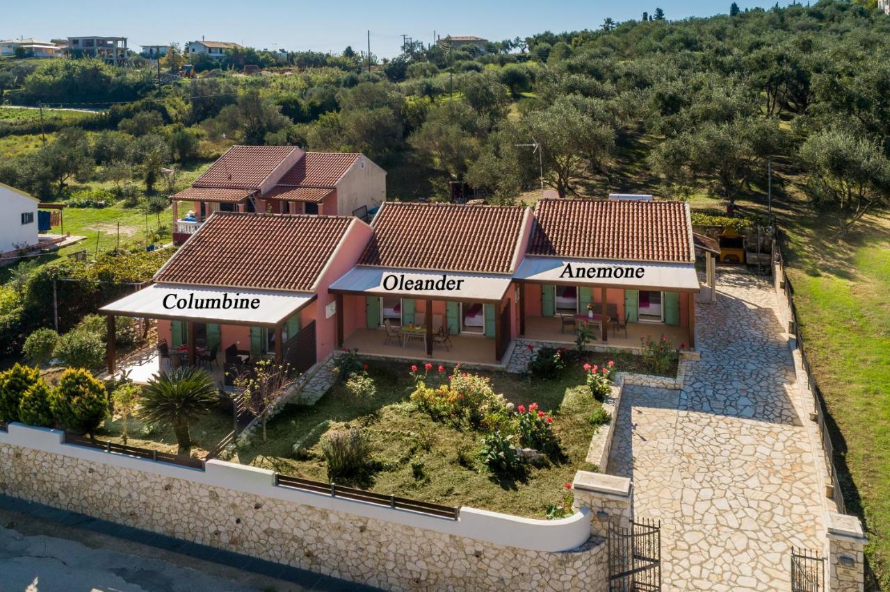 Garden Agios Stefanos Corfu Holiday home