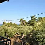 The Olive Grove Apartments By Konnect, Dasia