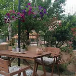 S&G Holiday House