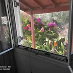 Aglaia House