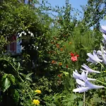Tasia Studios