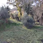 Tzafi'S Apartments 2
