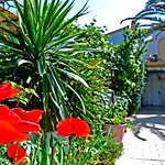Villa Elena Studios