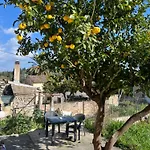 The Lemon Garden