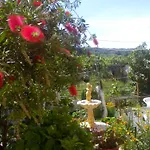 Paradise Studios