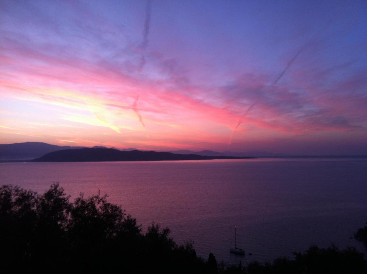 Maria Corfu Loustri